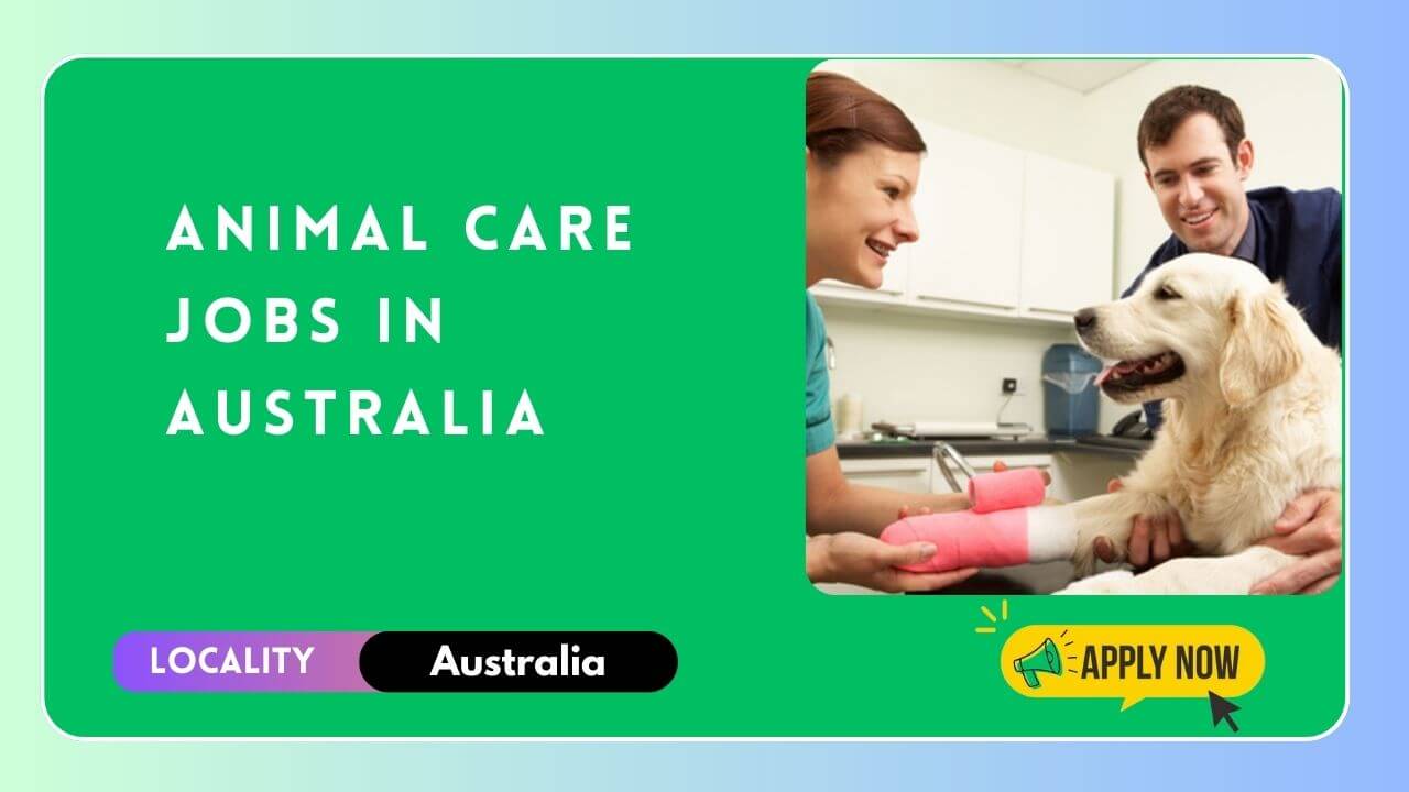 Animal Care Jobs in Australia 2024: Visa Sponsoorship ($50,000 – $60,000 yearly)