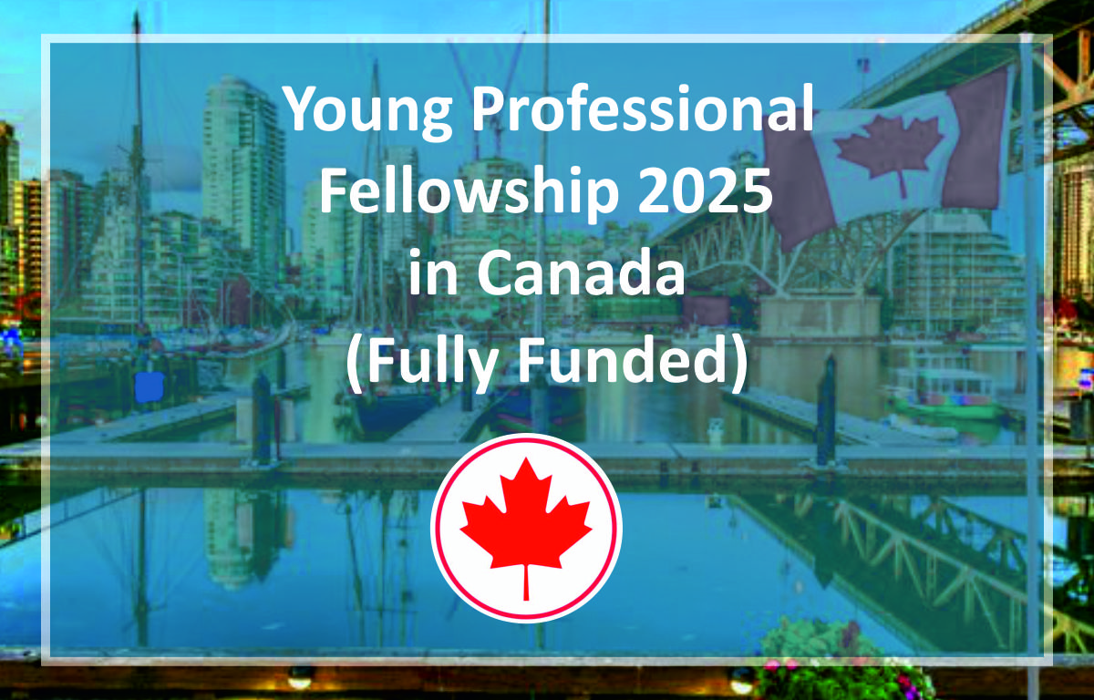 Young Professional Fellowship 2025