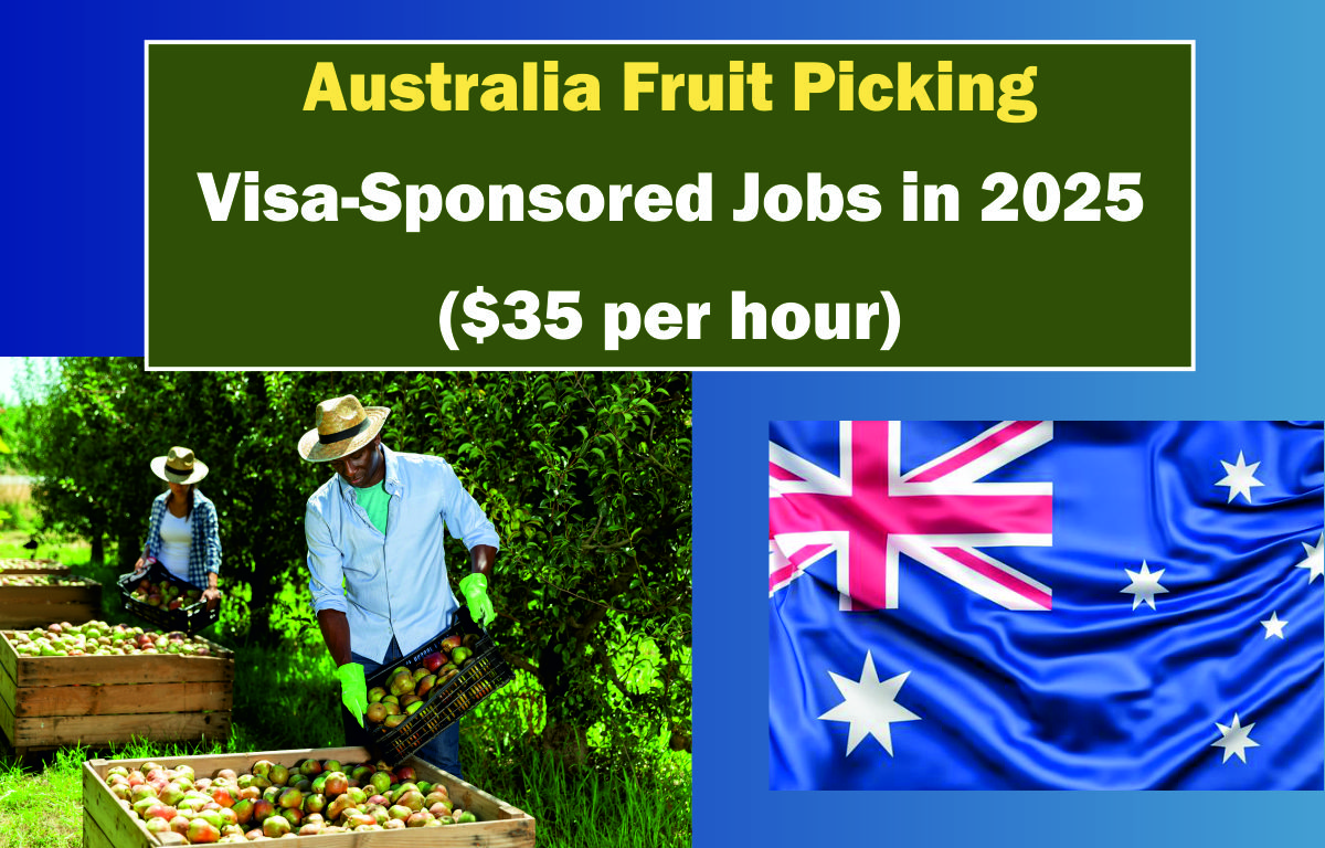 Australia Fruit Picking Visa-Sponsored Jobs in 2025 ($35 per hour)
