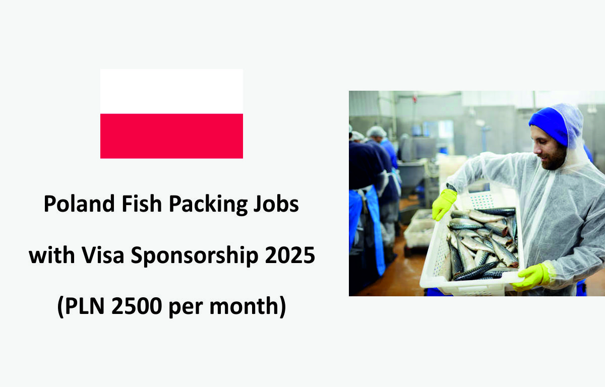Poland Fish Packing Jobs with Visa Sponsorship 2025 (PLN 2500 per month)