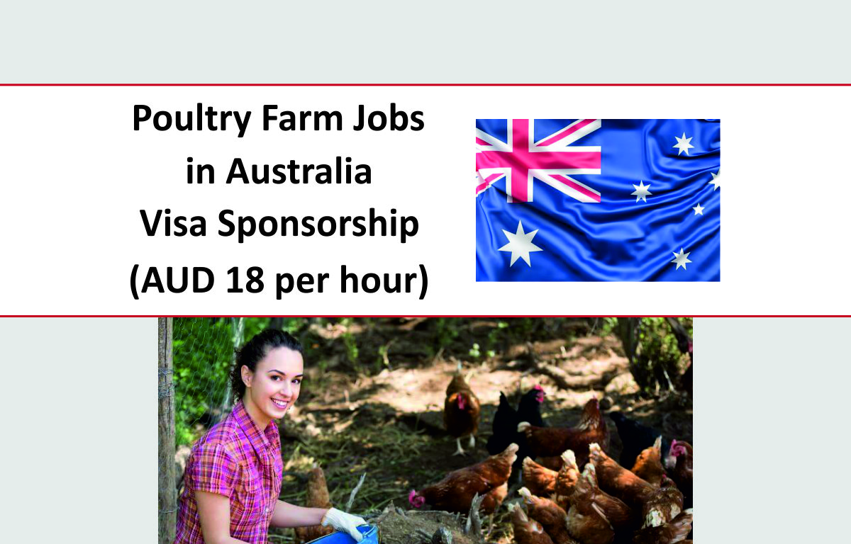 Poultry Farm Jobs in Australia with Visa Sponsorship (AUD 18 per hour)