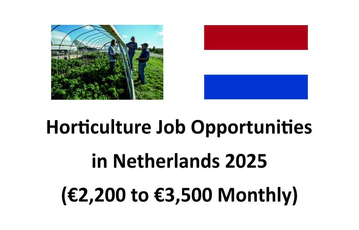 Horticulture Job Opportunities in Netherlands 2025 (€2,200 to €3,500 Monthly)